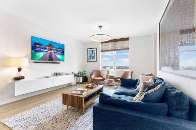 living room featuring hardwood / wood-style flooring