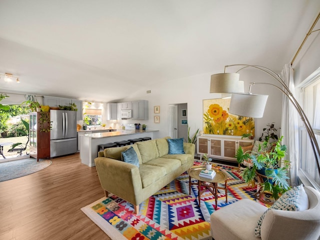 living room with light hardwood / wood-style flooring