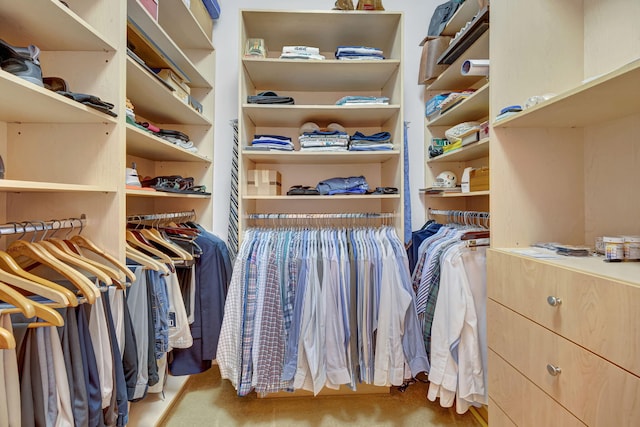 spacious closet featuring carpet