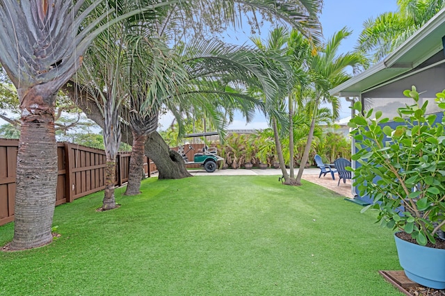 view of yard featuring a patio area