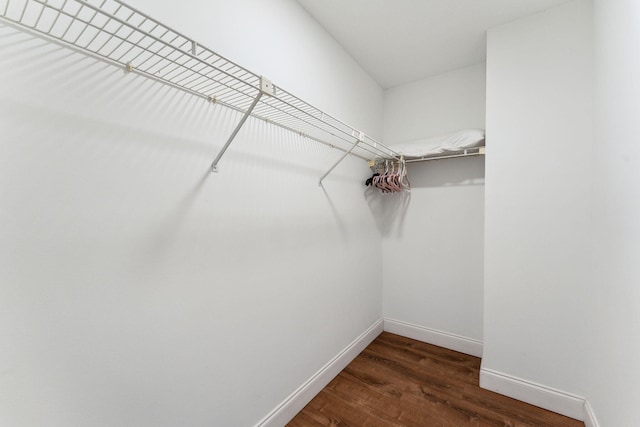 spacious closet featuring dark hardwood / wood-style flooring