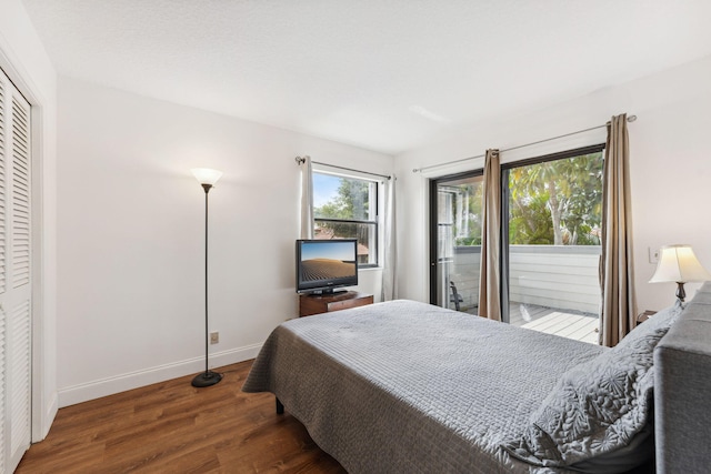 bedroom featuring a closet and dark wood-type flooring