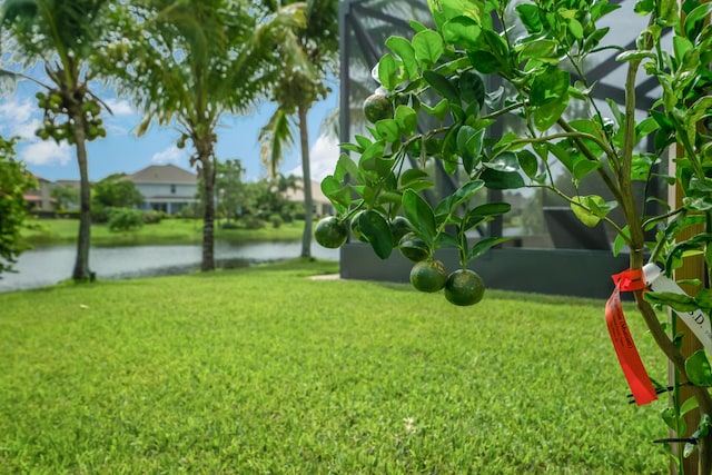 view of yard with a water view