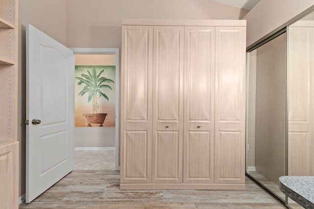 interior space featuring light hardwood / wood-style floors and a closet