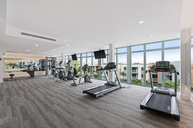 exercise room with carpet floors, a healthy amount of sunlight, and floor to ceiling windows