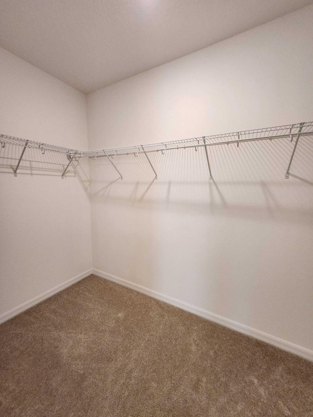 spacious closet with carpet