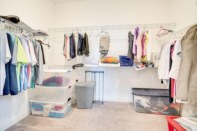 spacious closet featuring light carpet