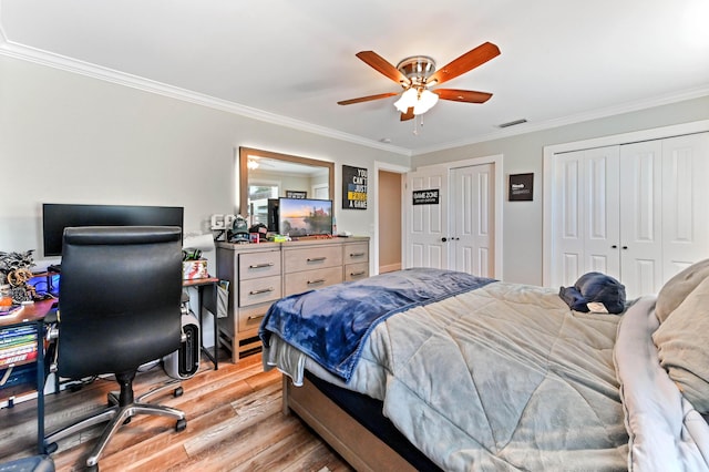 bedroom featuring crown molding, two closets, light hardwood / wood-style flooring, and ceiling fan