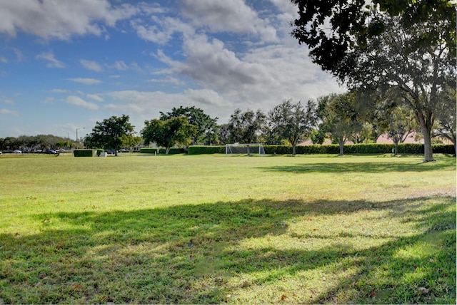 view of yard