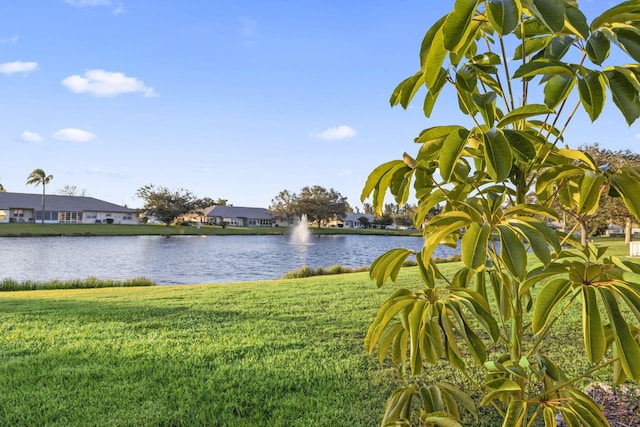 property view of water