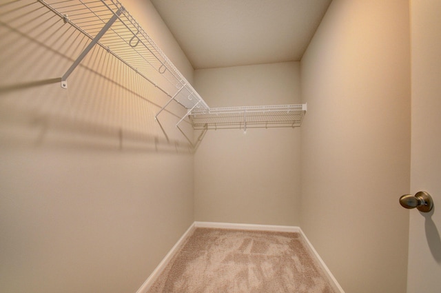 spacious closet with light carpet