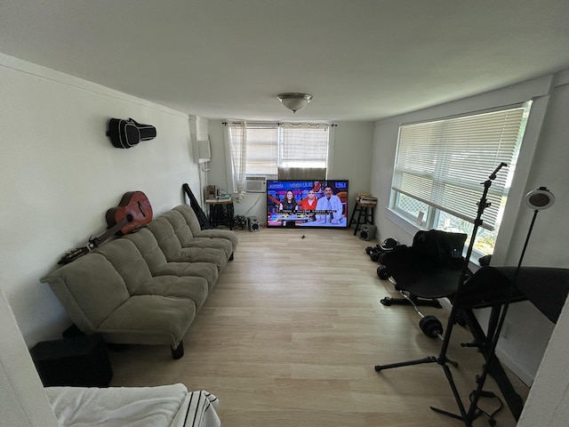 living room with light wood-type flooring