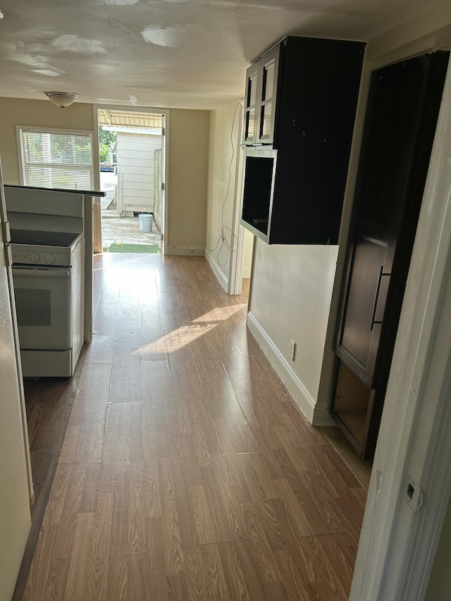 hall featuring wood-type flooring