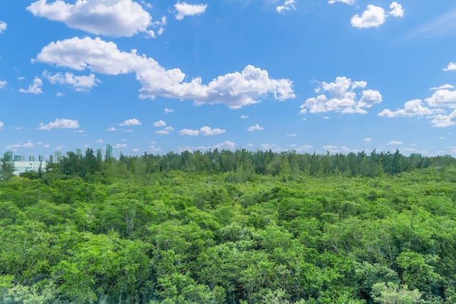 view of landscape