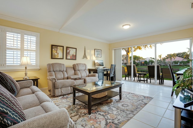 living room featuring light tile patterned flooring and ornamental molding