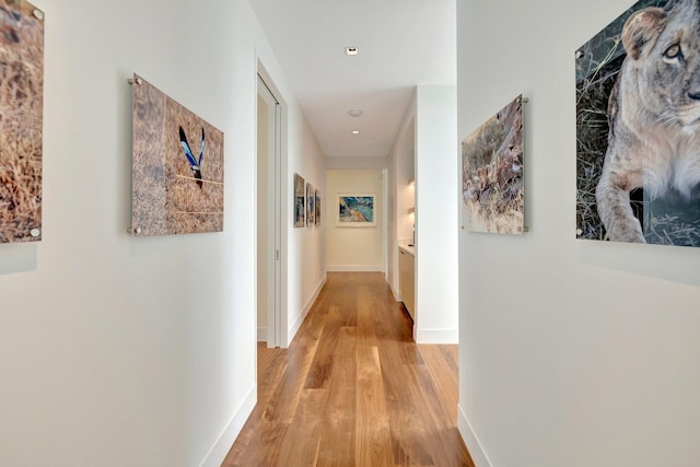 hallway featuring light wood-type flooring