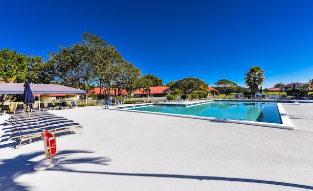 view of pool featuring a patio area