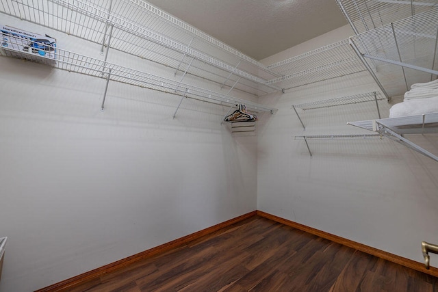 spacious closet with dark hardwood / wood-style floors