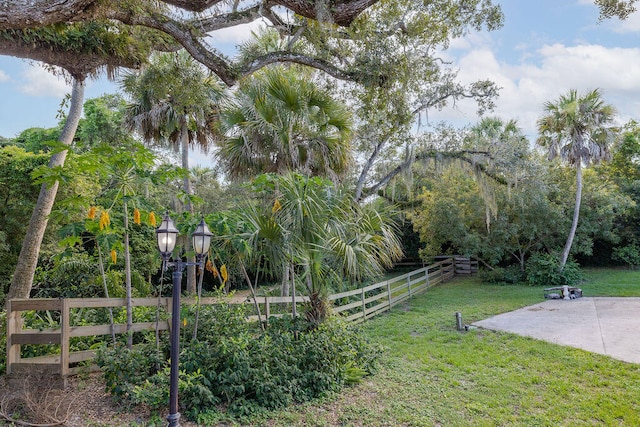 view of yard featuring a patio