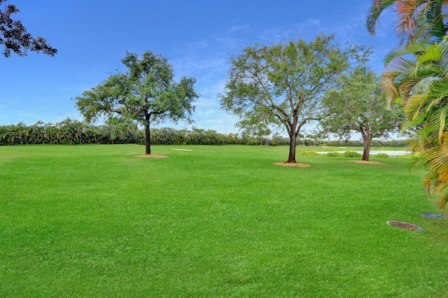 view of yard with a water view