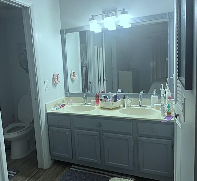 bathroom with vanity, wood-type flooring, and toilet