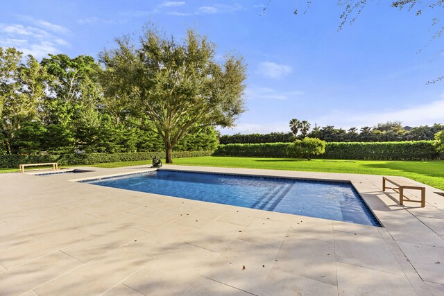 view of swimming pool with a patio and a yard