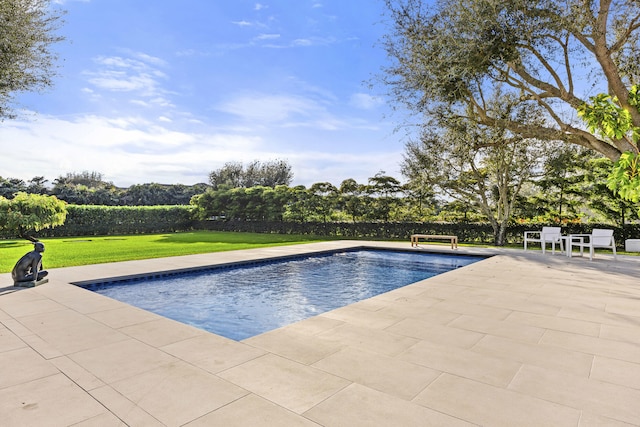 view of pool featuring a patio and a yard