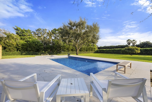 view of pool featuring a patio area and a yard