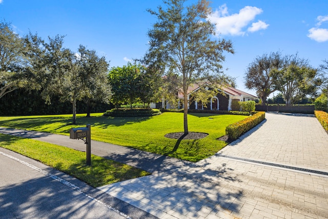 view of community featuring a yard