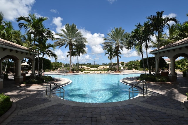 view of swimming pool with a patio