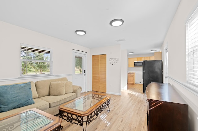 living room with light hardwood / wood-style flooring