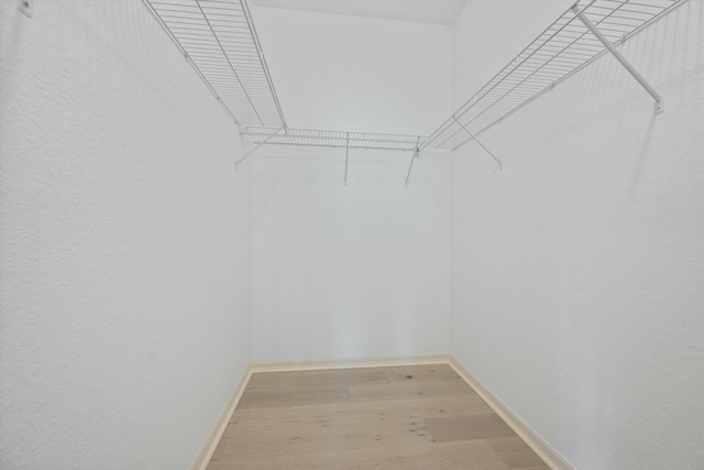 walk in closet featuring wood-type flooring