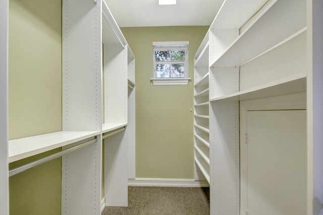 walk in closet featuring carpet floors