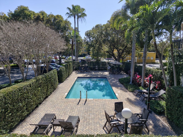 view of pool featuring a patio area