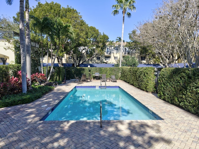 view of pool with a patio area