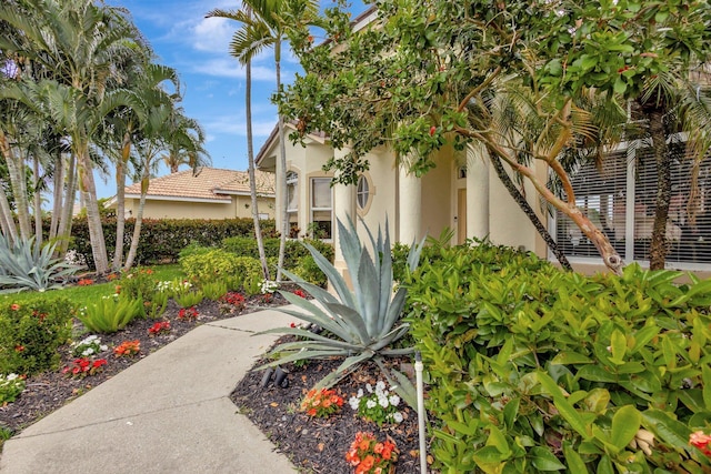 view of side of property with stucco siding and a tile roof