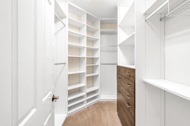 spacious closet with light carpet