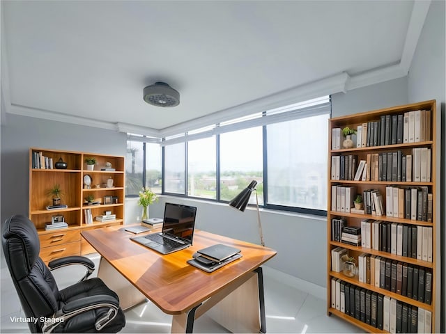 office space with ornamental molding