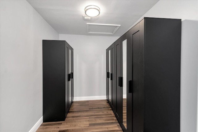 hallway featuring dark hardwood / wood-style flooring