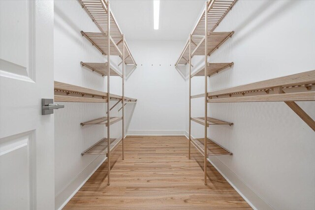 empty room featuring light hardwood / wood-style flooring, ceiling fan, and plenty of natural light