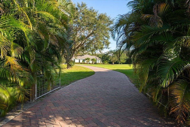 view of home's community with a yard