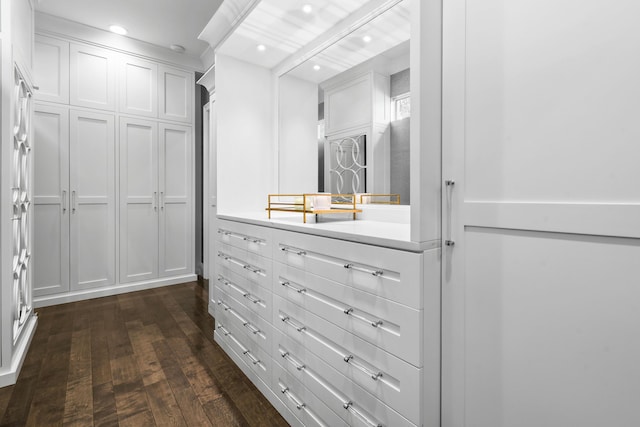 spacious closet with dark hardwood / wood-style flooring and sink