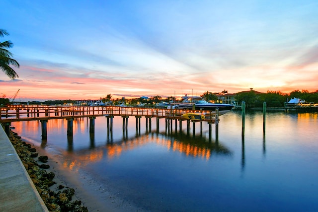 dock area with a water view