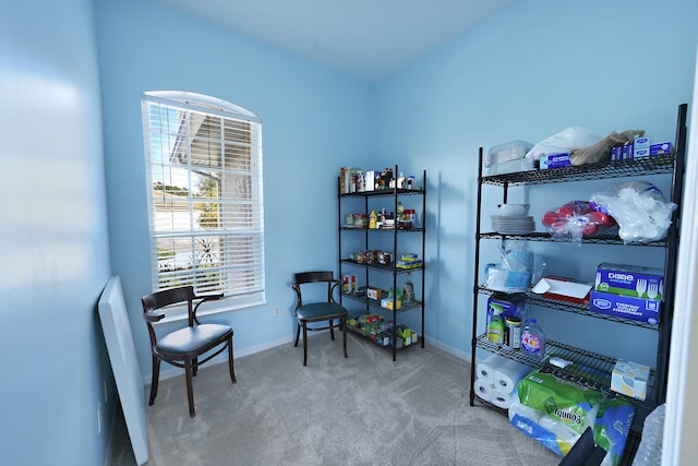 sitting room with carpet flooring