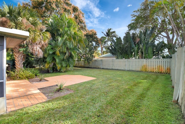 view of yard featuring a patio