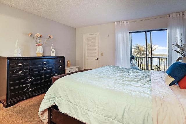 bedroom featuring access to outside, a closet, carpet flooring, and a textured ceiling