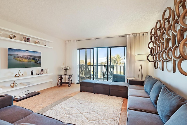 living room featuring carpet flooring and a textured ceiling