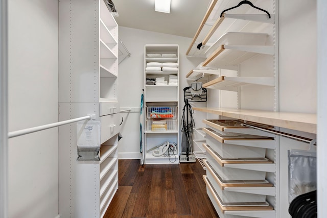 walk in closet with lofted ceiling and dark wood-type flooring