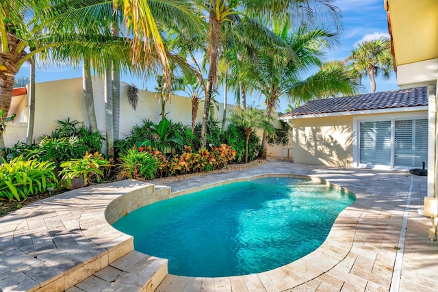 view of swimming pool with a patio area