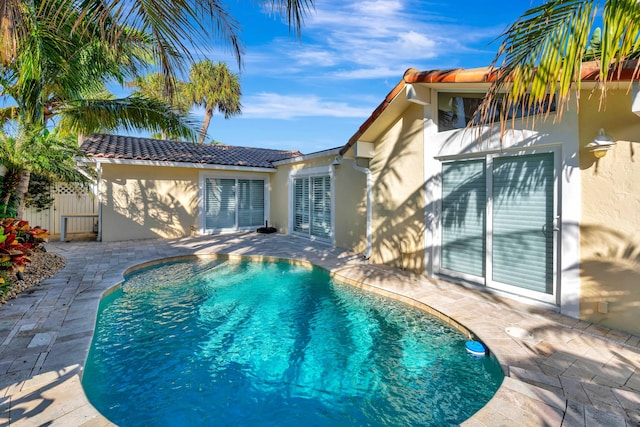 view of pool with a patio area